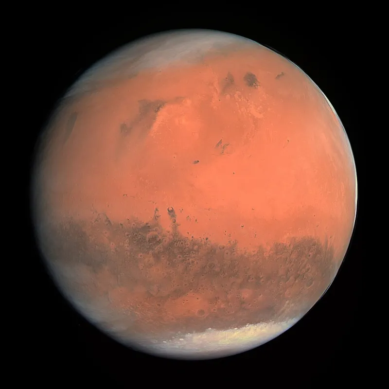 Integratori per la Massa Muscolare: Cosa Dice Davvero la Scienza